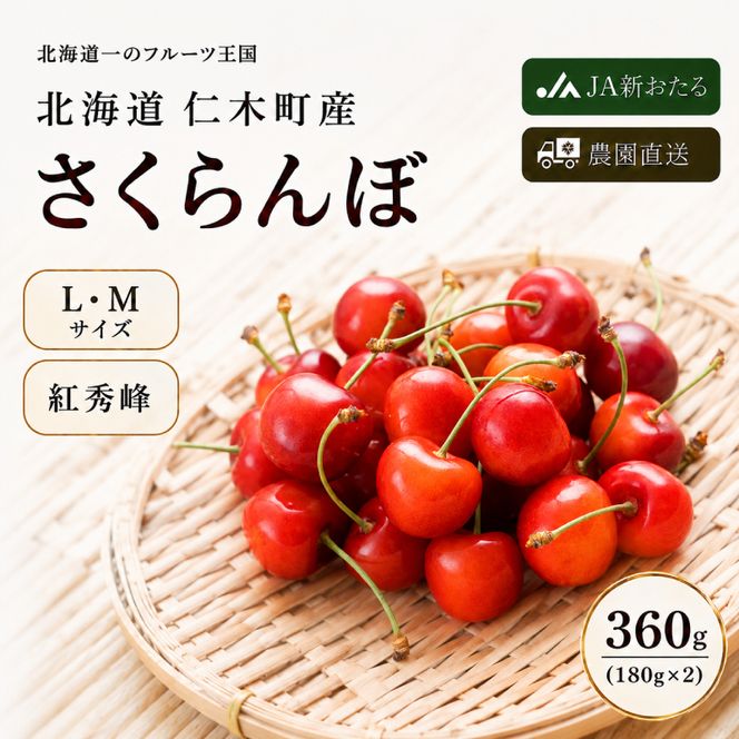 2027年発送 北海道 仁木町産 さくらんぼ 紅秀峰 360g（180g×2パック） サクランボ チェリー フルーツ 果物 果物類  仁木町 仁木 [JA新おたる]