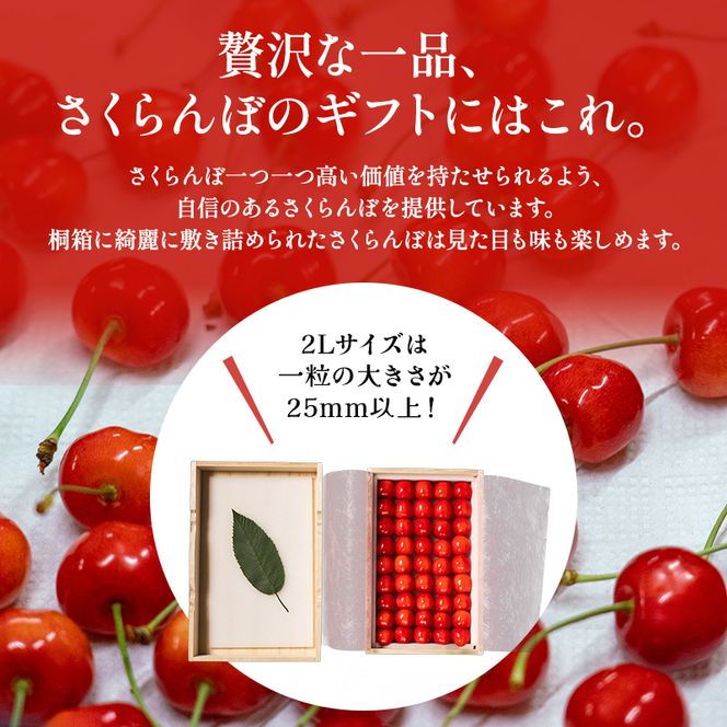 先行受付 北海道 仁木町産 贈答用 さくらんぼ 【 紅秀峰 】 桐箱入 2L～3Lサイズ 500g 果物類 フルーツ サクランボ チェリー  [嶋田茂農園匠]