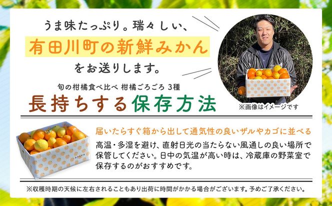 旬の柑橘食べ比べ 柑橘ごろごろ 3種 箱込 2.5kg(内容量 2.3kg) 秀品 優品 混合 和歌山県産 産地直送 【おまけ付き】【みかんの会】 AX150
