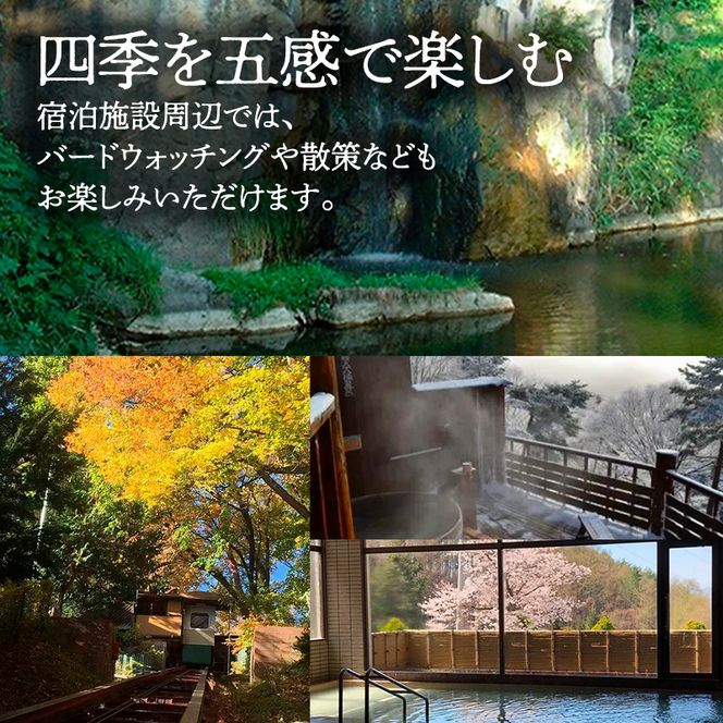 常盤館 展望露天風呂 入浴券5枚 チケット 温泉利用券 