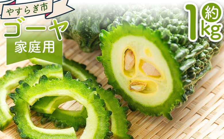 [2026年10月以降発送]ゴーヤ 1kg 家庭用 yr-0073