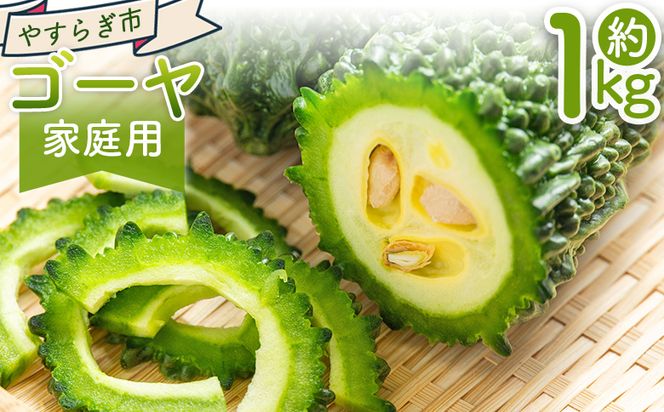 【2026年10月以降発送】ゴーヤ １ｋｇ 家庭用 yr-0073