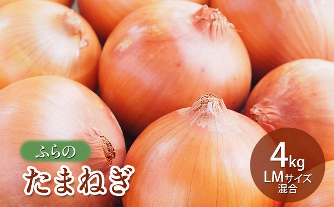 【2026年秋発送】ふらの たまねぎ 4kg LMサイズ混合 北海道 富良野市 野菜 新鮮 直送 玉ねぎ 道産 ふらの 送料無料 数量限定 先着順