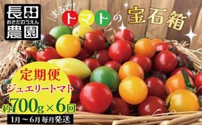【先行受付】2027年1月～6月毎月発送　まるでトマトの宝石箱！ジュエリートマトの定期便　約700g×6回コース 長田農園 産地直送 カラフル トマト とまと 野菜 やさい フルーツ サラダ 濃厚 甘い ご褒美 プレゼント 美容 健康 リピート多数 人気 高評価 先行受付 数量限定 碧南市 H004-254