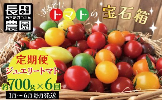 【先行受付】2027年1月～6月毎月発送　まるでトマトの宝石箱！ジュエリートマトの定期便　約700g×6回コース 長田農園 産地直送 カラフル トマト とまと 野菜 やさい フルーツ サラダ 濃厚 甘い ご褒美 プレゼント 美容 健康 リピート多数 人気 高評価 先行受付 数量限定 碧南市 H004-254