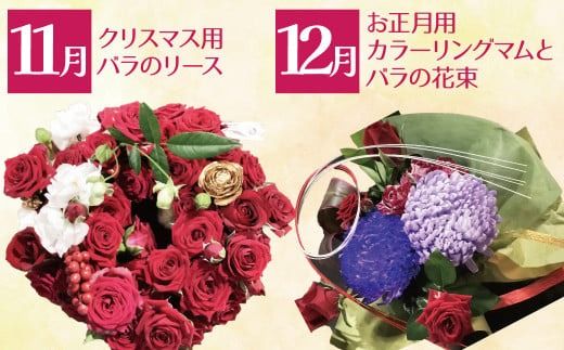 【全４回】季節感じる生花の定期便 (9月～12月に毎月お届け) 花 クリスマス お正月 リース クルクマ バラ 薔薇 ガーベラ マム 菊 H092-068