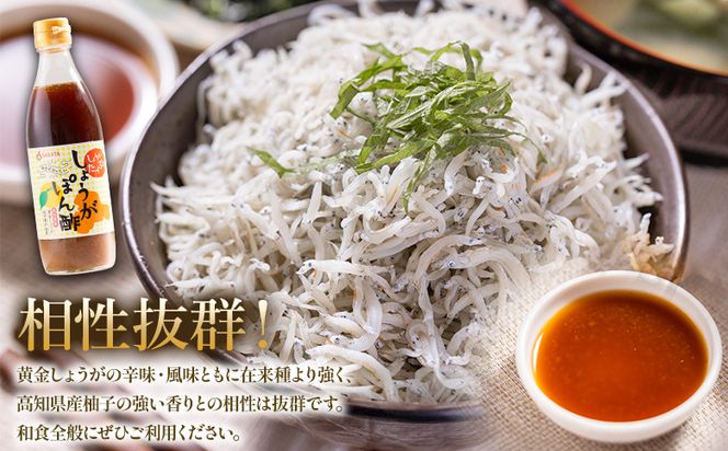 ポン酢 生姜ぽん酢 360ml×5本 【7日程度で発送】 生姜 ジンジャー ぽん酢 ポン酢 柚子 ゆず ドレッシング 料理 調味料 和食 辛味 風味 手軽 便利 刻み生姜 国産 特産品 黄金しょうが しょうが ショウガ 高知県産 坂田信夫商店 高知県 香南市 常温 Xnb-0016