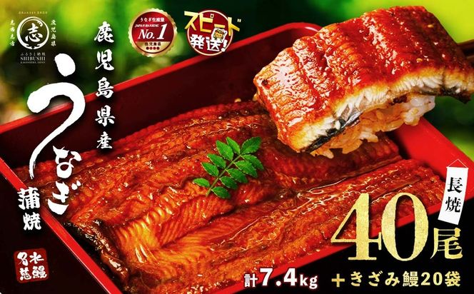 鹿児島県産うなぎ蒲焼 名水慈鰻 40尾(1尾約160g)+きざみ鰻20袋(1袋約50g)＜合計約7.4kg＞ wb82-001