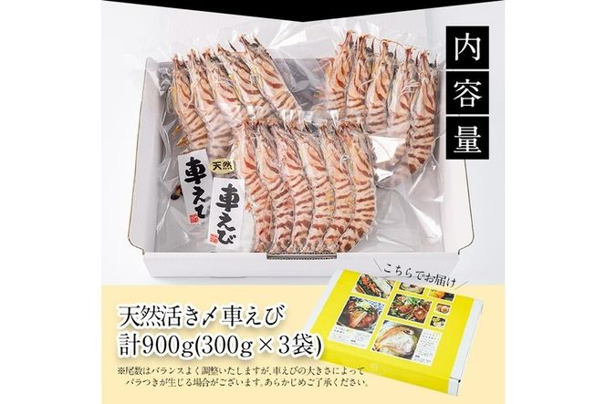 天然 活き〆車エビ 生食用 (計900g・300g×3袋) エビ 海老 車海老 冷凍 刺身 さしみ 天ぷら 塩焼 バーベキュー 国産 大分県産 大分県 佐伯市 やまろ渡邉 【DL19】【鶴見食賓館】