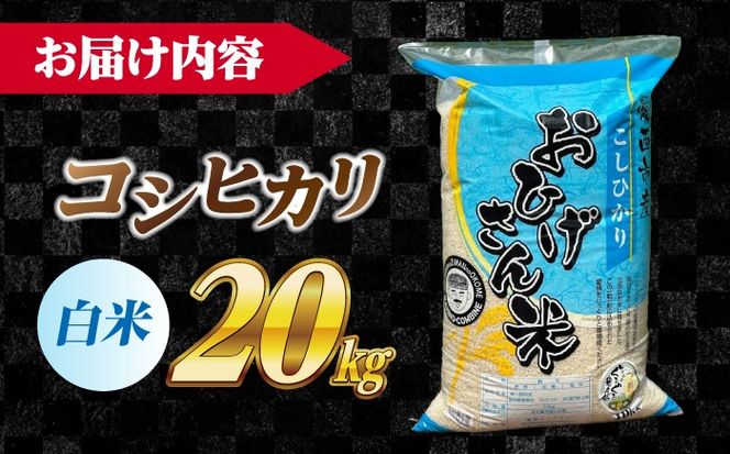 コシヒカリ 白米 20kg / 脇野コンバイン[AECP023-11]