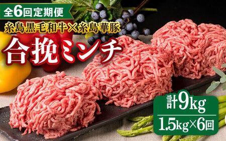 [全6回定期便][ 牛豚合挽 ミンチ ] A4ランク 糸島黒毛和牛 / 糸島華豚 合計1.5kg 糸島市 / 糸島ミートデリ工房 [ACA264] ひき肉ミンチ合い挽き和牛 牛肉豚肉ハンバーグ赤身国産福岡冷凍