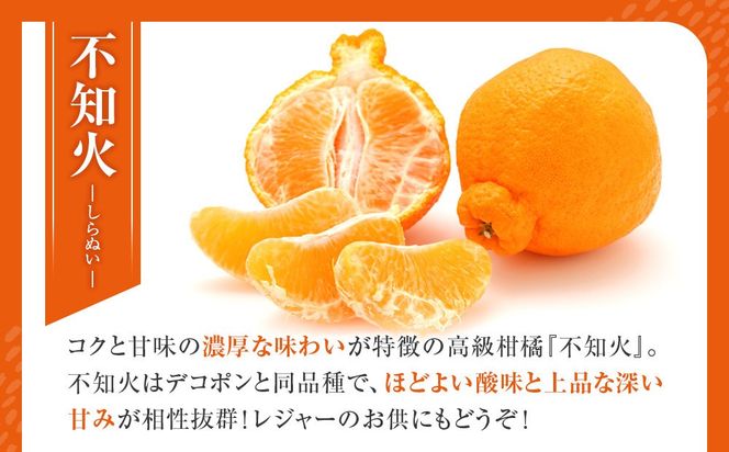 不知火(しらぬい) オレンジ みかん 訳あり 2kg サイズ混合 CE061