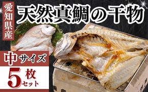 岬だよりの大人気 天然真鯛の干物　中サイズ5枚セット