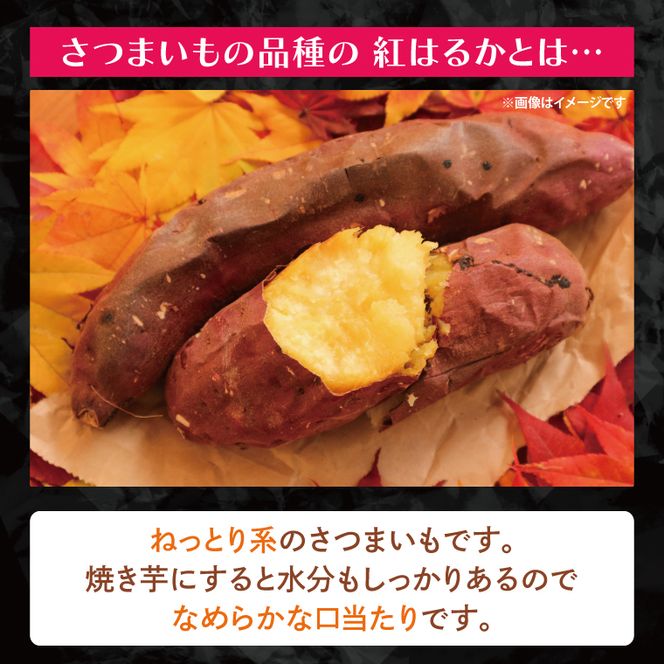 【2026年8月中旬より順次発送】★訳あり★茨城県行方市特産　新さつまいも（紅はるか）サイズミックス 約10kg｜訳あり わけあり 訳アリ さつまいも サツマイモ さつま芋 紅はるか べにはるか 芋 いも 茨城県産 行方市(FU-3)