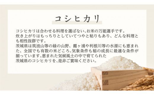 《 令和7年産 》 茨城県産 コシヒカリ 10kg ( 5kg × 2袋 ) 期間限定 こしひかり 米 コメ こめ 五ツ星 高品質 白米 精米 時短 単一米 [AC040us]