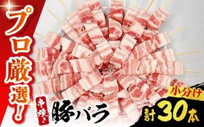 【旨味凝縮！満足セット】国産 焼き鳥セット 豚バラ 30本 / やきとり ヤキトリ 焼鳥 串セット 国産 冷凍 小分け / 南島原市 / ふるさと企画[SBA079]