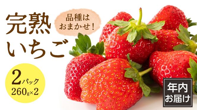 y錧}szy N͂ z n  2pbN 嗱   C`S t[c ʕ [AF113ci]