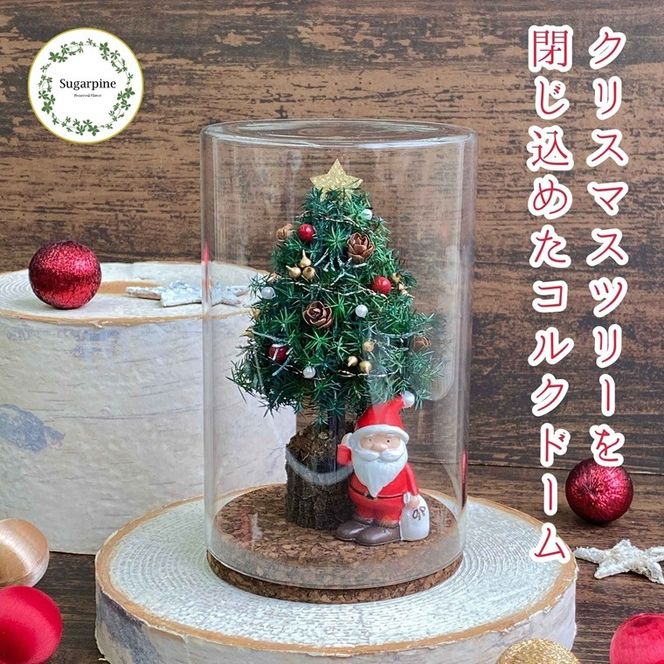 yʌtszvU[uht[@y[mG@ts@VK[pC(AJ264)