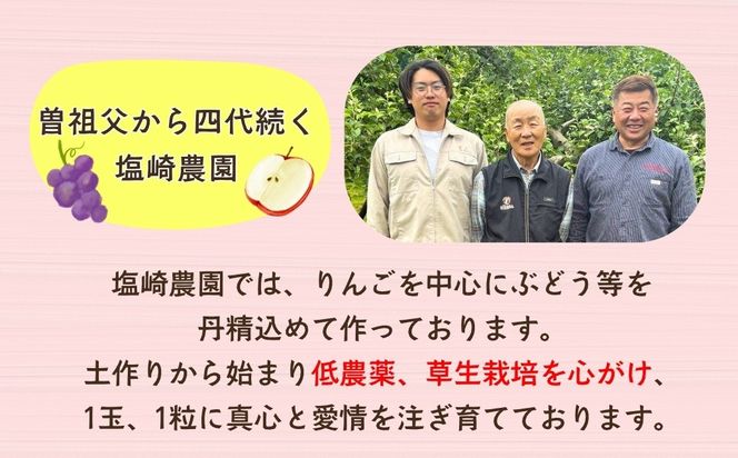 【果汁100%】りんごジュース 1L×6本 （At-002）