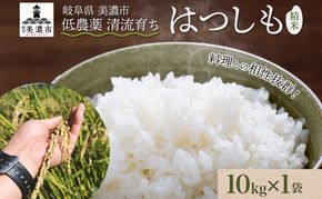 ＜先行予約＞令和8年産 はつしも 精米 10kg×1袋 低農薬 清流育ち 新米 お米 白米 米 ごはん 米 ご飯 ハツシモ R8年産 あっさり ふっくら ブランド米 大粒 幻の米 お取り寄せ 産地直送 送料無料 美濃グリーン 岐阜県 美濃市