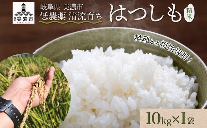 ＜先行予約＞令和8年産 はつしも 精米 10kg×1袋 低農薬 清流育ち 新米 お米 白米 米 ごはん 米 ご飯 ハツシモ R8年産 あっさり ふっくら ブランド米 大粒 幻の米 お取り寄せ 産地直送 送料無料 美濃グリーン 岐阜県 美濃市