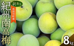 青梅 8kg 訳あり 紀州南高梅 シロップ・梅酒・梅干し用等 和歌山県有田産 2026年5月下旬～7月上旬発送予定 CE062