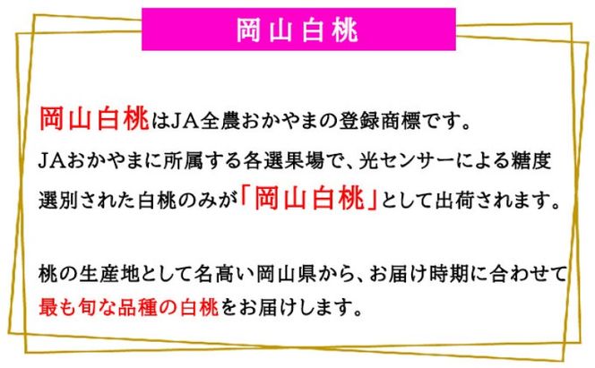 桃 2026年 先行予約 岡山 白桃 ロイヤル 8～16玉 4.0kg 岡山県産 JAおかやまのもも  モモ 岡山県産 国産 フルーツ 果物 ギフト