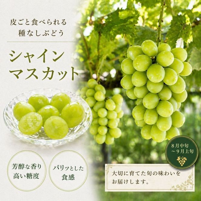 【数量限定】旬の特選フルーツ定期便 (シャインマスカット・イチゴ・みかん) 全3回