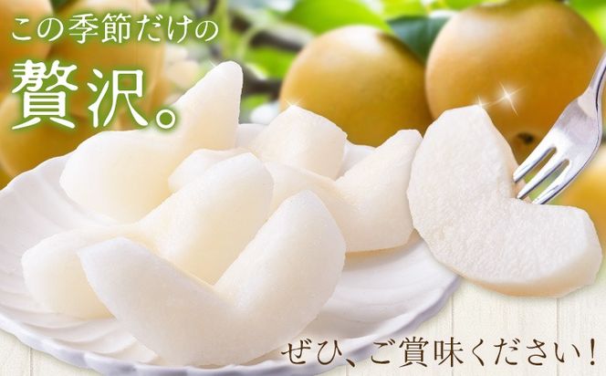 先行予約 旬の梨 梨 約2kg 約4kg 株式会社エフビーネット《出荷時期をお選びください》熊本県 氷川町 果物 フルーツ 熊本県産 青果物 和梨 ジューシー---hkw_efn_1_2kg---