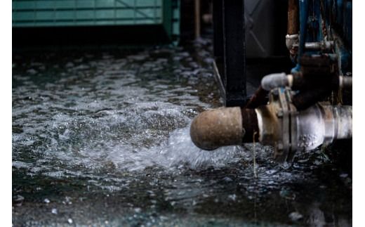 黒染め直しサービス　Aコース （半袖シャツ・半袖 T シャツ・タンクトップ）染め直し SDGs サステナブル リメイク 黒染め 山梨 富士吉田