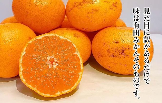 訳あり それでも 有田みかん 箱込 7.5kg (内容量約 6.8kg)  サイズミックス B品 有田みかん 和歌山県産 産地直送 家庭用［2025年11月中旬より順次出荷予定］［みかんの会］ AX212