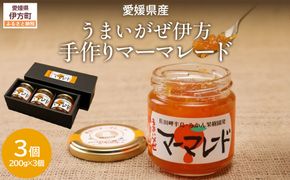 【愛媛県産】うまいがぜ伊方手作りマーマレード（200g×3個） IKTI012