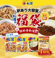 ふるさと納税 訳あり 福袋 松屋 20食 セット 大容量 送料無料 非常食 牛めし 豚めし カレー シュクメルリ 食品 惣菜 レンジ 時短 牛丼 牛肉 冷凍 おかず 埼玉県嵐山町
