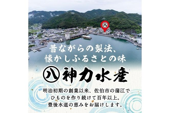 厳選ひもの セット (7種) 簡単 調理 干物 あじ 真あじ あじみりん かます さば 真さば ちりめん ちりめんじゃこ イカ タイ みりん干し 丸干し 一夜干し 開き 魚 海鮮 冷凍 詰め合わせ【DF03】【(株)神力水産】