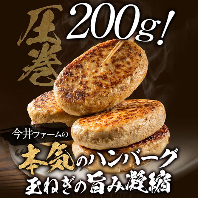 淡路島たまねぎどっさりジャンボハンバーグ プレーン＆チーズセット 200g×10個　ハンバーグ