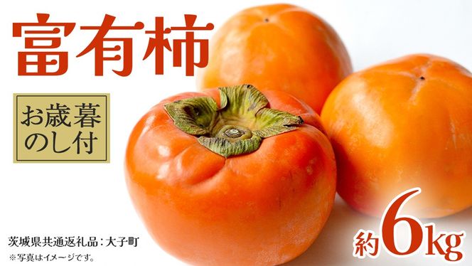 y錧vszy Ε lt zxL` 6kg y2025N12{Jnz(錧ʕԗiFq) ʕ t[c { Gߌ Ԍ p Mtg 蕨