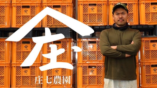 【 簡易包装・ご自宅用 ＜真空パック＞ 】 訳あり 干し芋 寒干し【B品】 800g 国産 紅はるか さつまいも スイーツ 家庭用 訳あり おやつ お菓子 デザート 庄七農園 [BK36-NT]