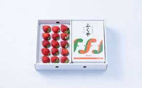 【2025年12月より順次発送】あまおう12～15粒＆ふくや味の明太子540g【南国フルーツ株式会社】_HA1903