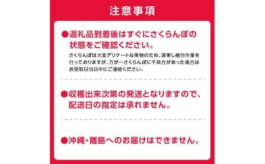 2026年発送【先行予約】令和8年産 紅秀峰南陽食べ比べ【2Lサイズ】各500g【ニトリ観光果樹園】余市 北海道 フルーツ王国 さくらんぼ サクランボ 桜桃 紅秀峰 南陽 食べ比べ 余市産さくらんぼ 人気さくらんぼ ニトリ_Y074-0141