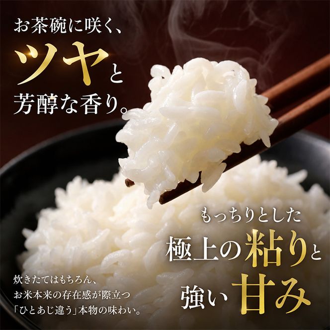 【令和8年産 先行予約】食味鑑定士厳選！魚沼産こしひかり ２０ｋｇ（５ｋｇ×４） 白米 安心 安全 こだわり 米 コシヒカリ 新潟県 十日町市