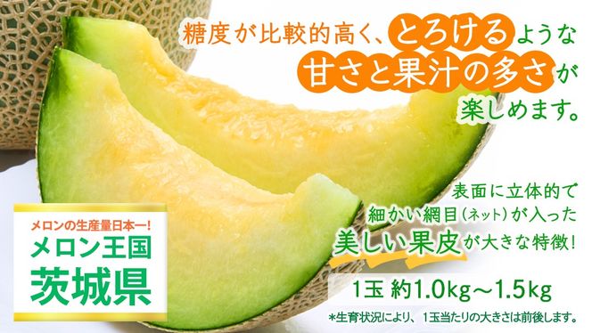 ＼ 玉数とお届け回数が選べる ／ アールスメロン 1玉 / 2玉 / 3玉 メロン ギフト 高糖度 甘い 美味しい フルーツ 誕生日 プレゼント ギフト 贈り物 父の日 母の日 1個 / 2個 / 3個