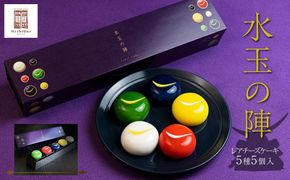 「水玉の陣」 - Gift Box 5 piece -　【お菓子・チーズケーキ・水玉の陣・5個・宝石・上品・華やか・スイーツ・クリームチーズ・ブルーベリー・ゆず・ずんだ地元食材】 041009_CZ001