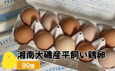 159-2043-01 湘南大磯産平飼い鶏卵 90個＜2024年12月1日出荷開始～2025年6月30日出荷終了＞【 たまご 神奈川県 大磯町 】