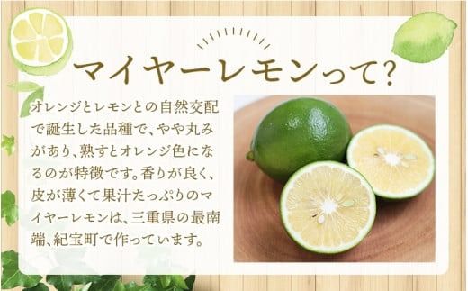 はぎファームの訳ありマイヤーレモン 5kg 【2024年10月~2025年3月下旬の期間で順次発送】 / レモン 国産 マイヤーレモン 【hgf004】