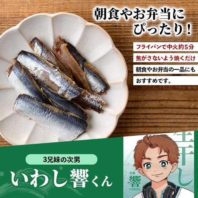 訳あり！いわし兄妹(3種・いわし純/いわし響/いわし粋) 国産 鹿児島県産 阿久根市産 魚 魚介 水産 訳あり 訳アリ イワシ 鰯 真いわし マイワシ うるめいわし ウルメイワシ 骨せんべい 干物 おつまみ おやつ 冷凍 【鈴木海産】akn091-07