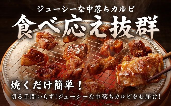 099H2301 焼き肉専門店 自家製タレ漬け 中落ちカルビ 合計500g（250g×2）