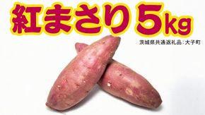 紅まさり 5kg 【 2026年12月上旬発送開始 】 ( 茨城県共通返礼品：大子町 ) さつまいも 焼き芋 しっとり なめらか 冷やし焼き芋 甘い 新芋 希少品種 農家直送 産地直送 [FC203us]