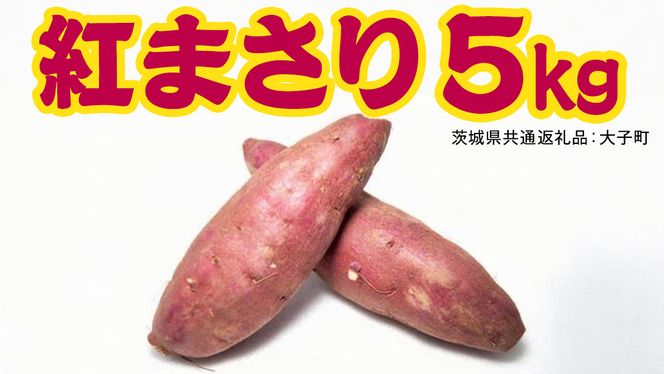 紅まさり 5kg 【 2026年12月上旬発送開始 】 ( 茨城県共通返礼品：大子町 ) さつまいも 焼き芋 しっとり なめらか 冷やし焼き芋 甘い 新芋 希少品種 農家直送 産地直送 [FC203us]
