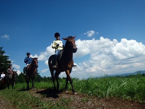 乗馬 体験 まきば軽井沢 ほっこり50分 乗馬体験 1名様 長野 信州 小諸 大自然 体験チケット 
