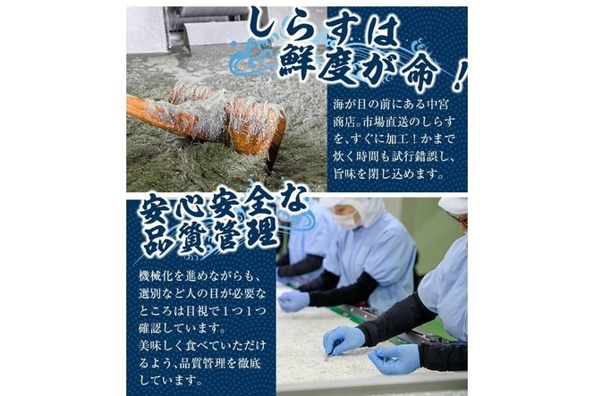 豊後水道 米水津産 しらす (計1kg・500g×2P) 魚 小魚 魚介類 シラス おつまみ カルシウム 大分県 佐伯市 【FA01】【(有)中宮商店】